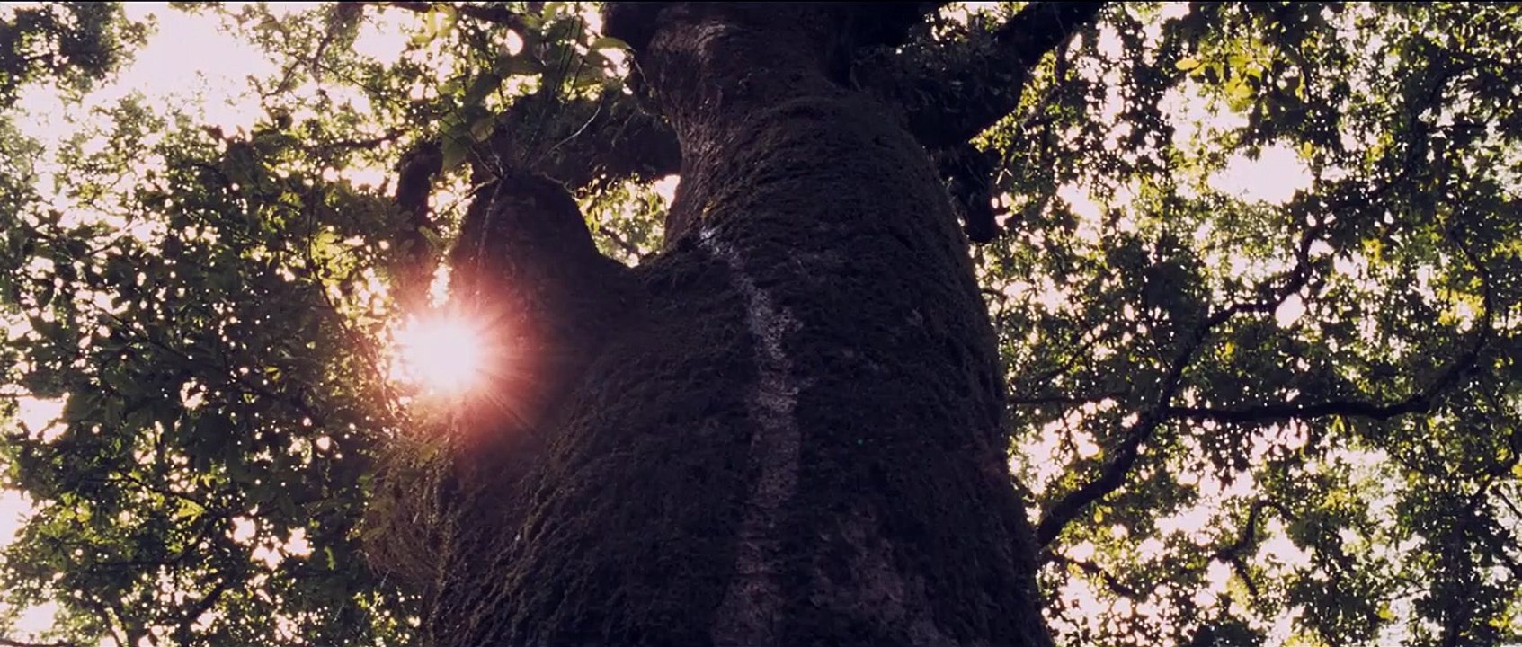 The Liberator | movie | 2014 | Official Trailer