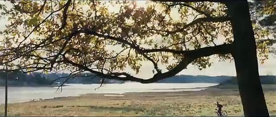 Simon och ekarna | movie | 2011 | Official Trailer