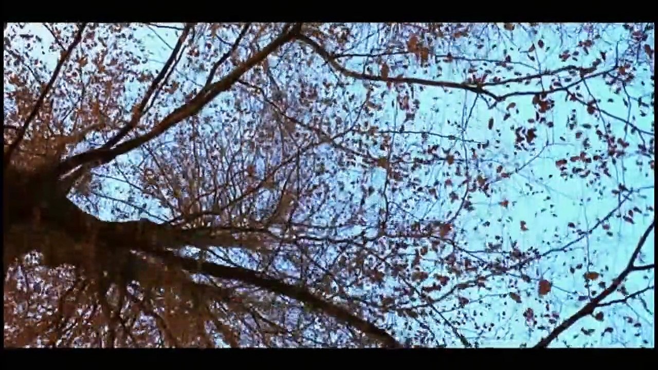 Wie in der Hölle | movie | 2005 | Official Trailer