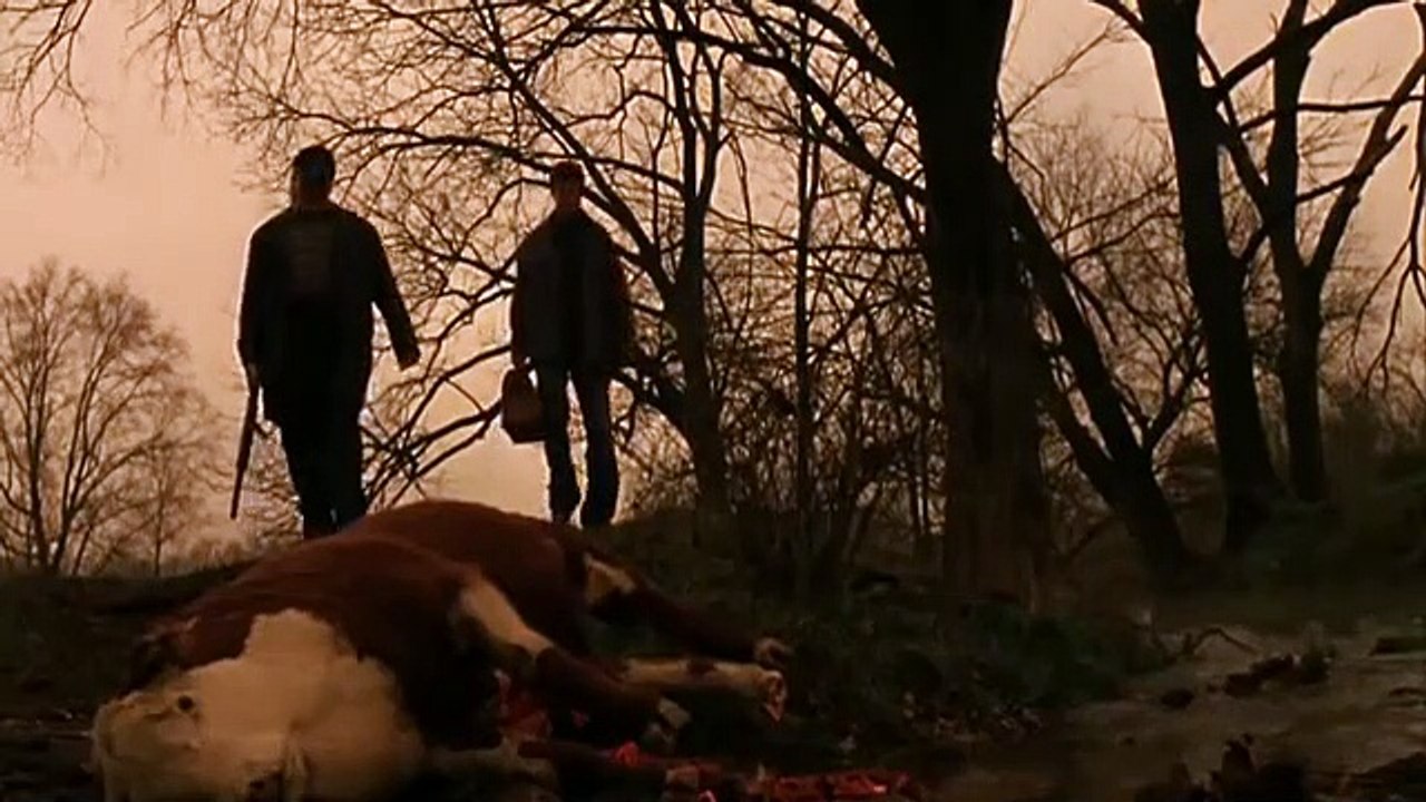 Larva | movie | 2005 | Official Trailer