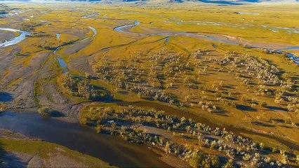 Abfahrt ins Nichts: Teil 2: Auf der anderen Seite des Fernsehers | movie | 2020 | Official Trailer