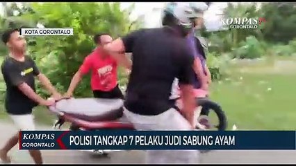 Polisi Tangkap 7 Pelaku Judi Sabung Ayam