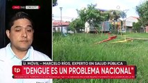 Emergencia por el dengue: Especialista advierte que el enemigo también está en las casas