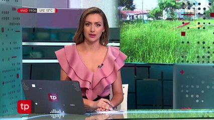 35 de cada 100 análisis da positivo a dengue, según el Cenetrop