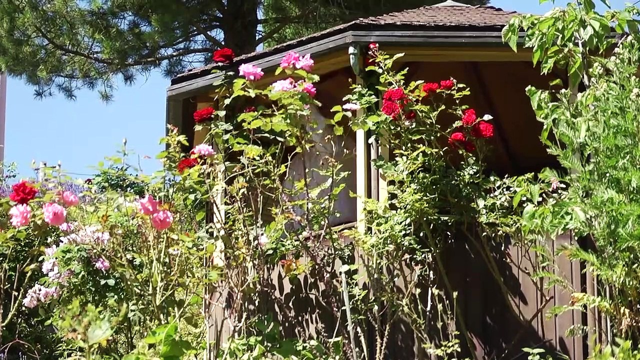 Das Gespräch mit der Sprache | movie | 2018 | Official Trailer