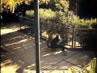 A Happy Medium 3 | movie | 2014 | Official Trailer