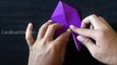 Cara Membuat Origami Kupu-Kupu Mariposa model Evi Binzinger, Germany Origami Binatang.