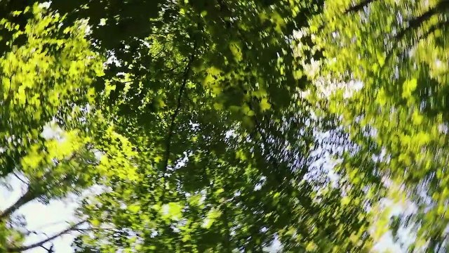 Смертные приговоры | movie | 2020 | Official Trailer