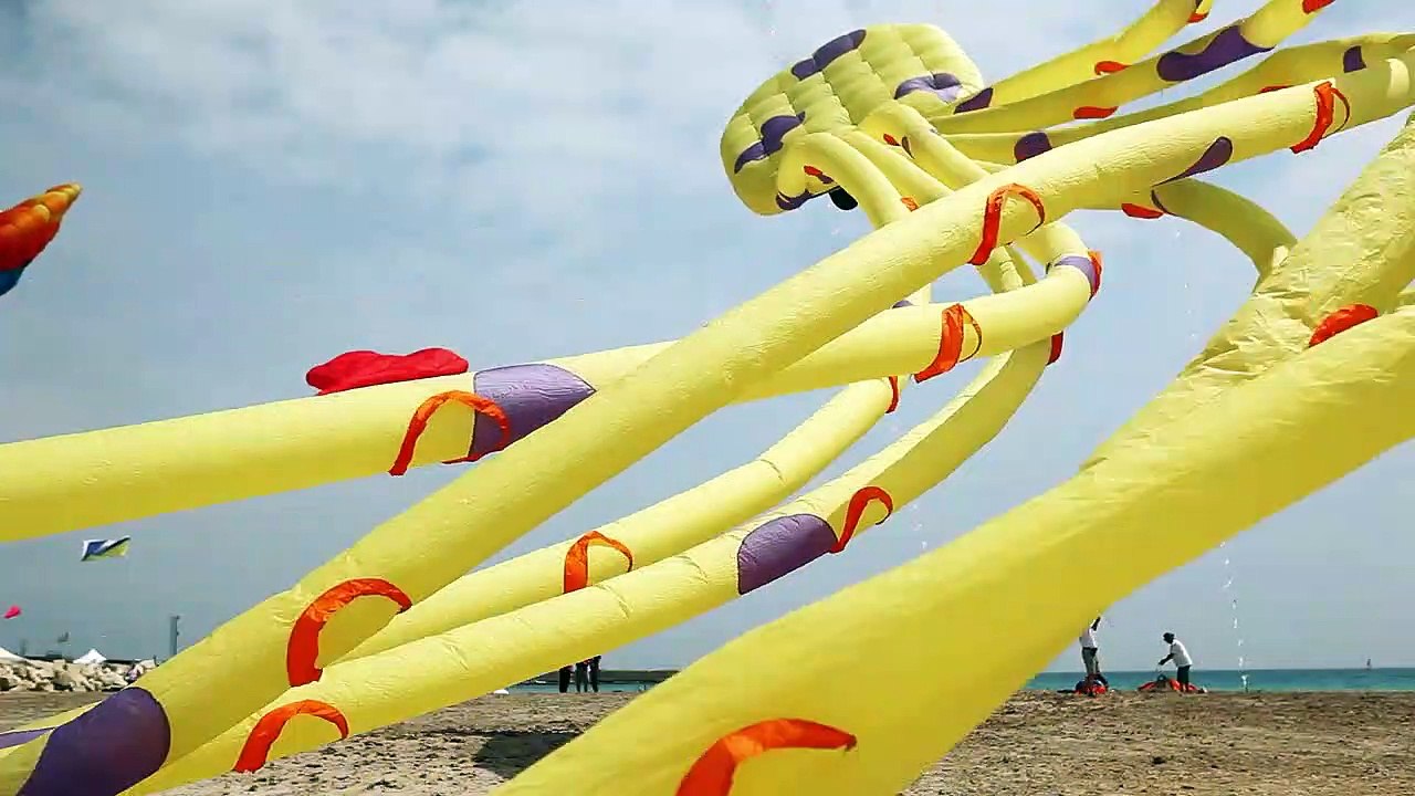 Dixieland: Little Kids Big Dreams | movie | 2015 | Official Trailer