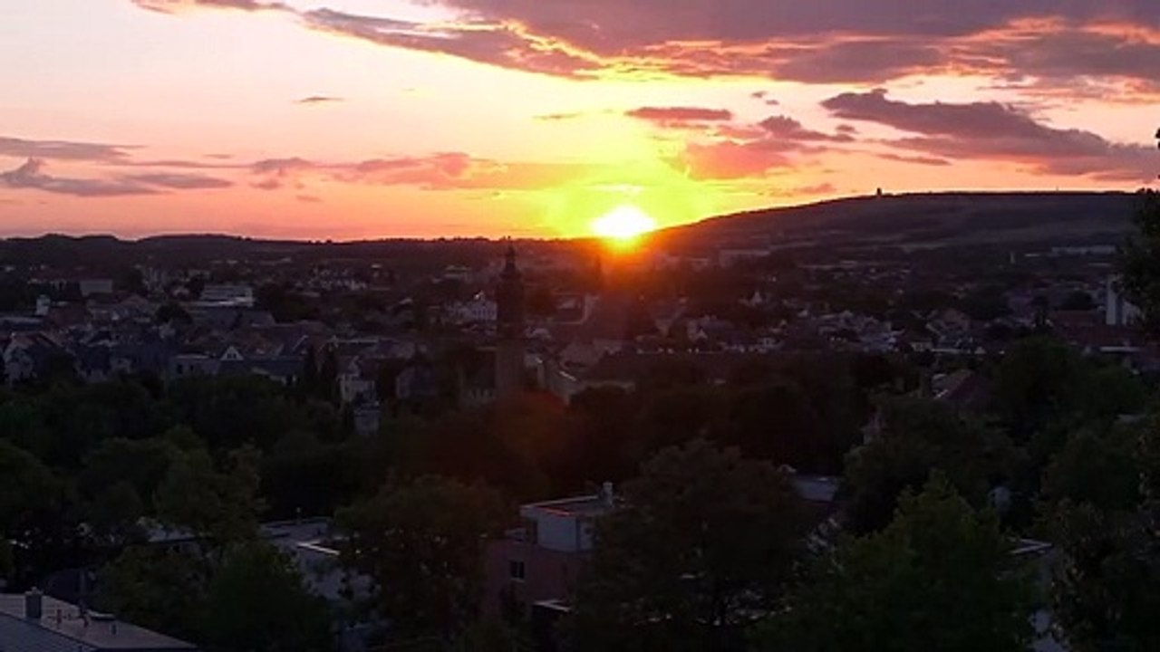 Wilde Miezen - Katzen allein unterwegs | movie | 2017 | Official Trailer