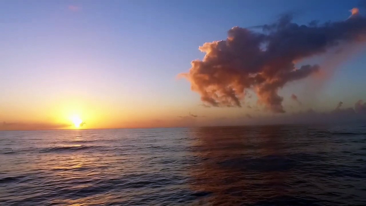 Gottes wilde Schöpfung: Erde | movie | 2018 | Official Trailer