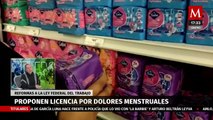 Diputada de Morena presenta iniciativa para dar días de descanso a mujeres por dolores menstruales
