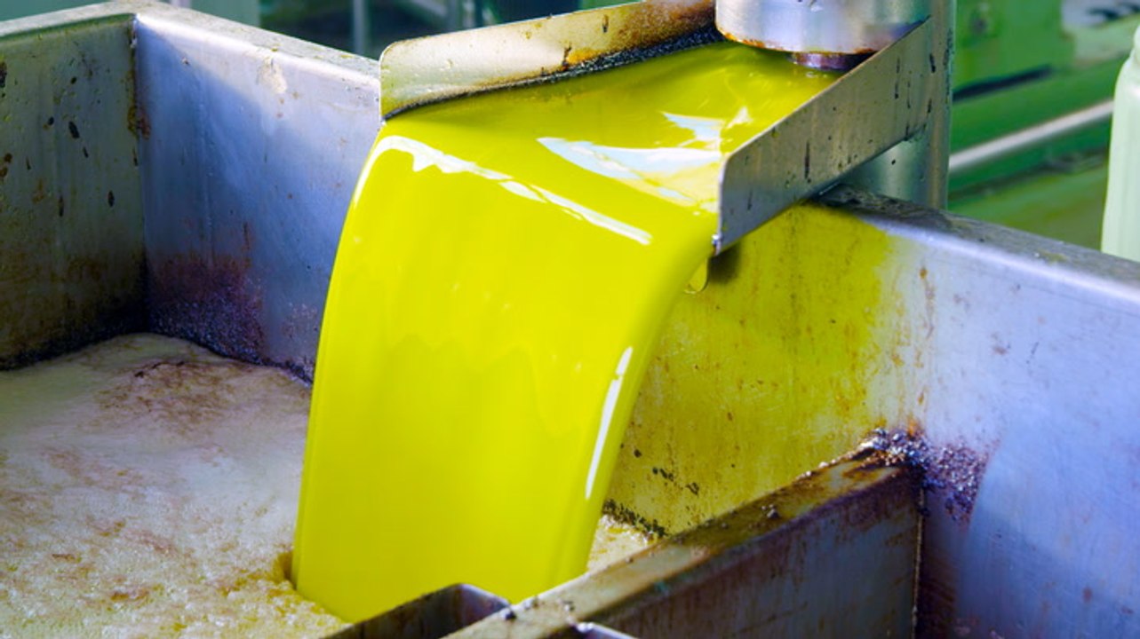 How 3 million gallons of olive oil are produced per year in Spain during crippling droughts