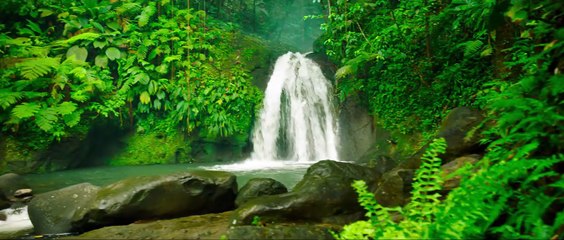 Chrobáčikovia 2: Ďaleko od domova | movie | 2019 | Official Trailer