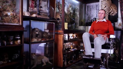 Walter Potter: The Man Who Married Kittens | movie | 2015 | Official Trailer