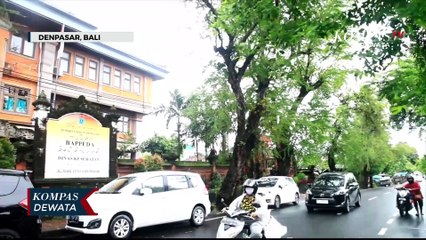 Kasus DBD Denpasar Capai 339 Di Awal Tahun 2023