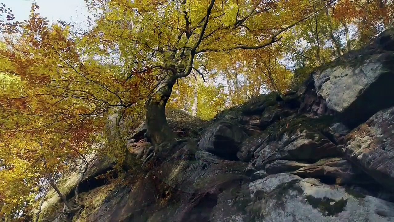 Hugo Ball - Der Buchstabenkönig | movie | 2018 | Official Trailer