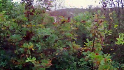 Die schönste Bahnstrecke Hessens | movie | 2017 | Official Trailer