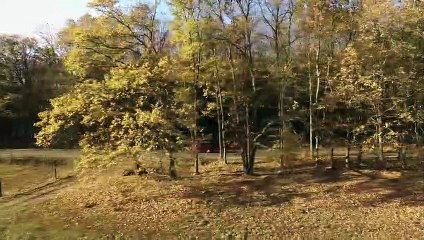 Paranormal Demons | movie | 2018 | Official Trailer