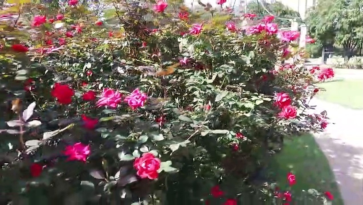 A Tour Of The 1859 Goodman LeGrand House & Museum | movie | 2009 | Official Trailer