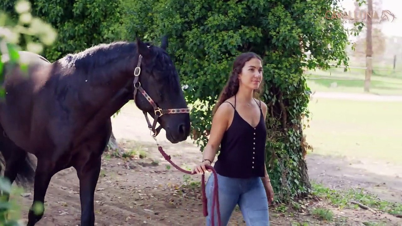 Cavalluna - Welt der Fantasie | movie | 2018 | Official Trailer