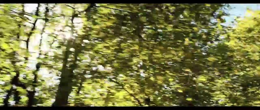 Мужчина и женщина: Лучшие годы | movie | 2019 | Official Trailer