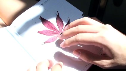 Never Ending Blue | movie | 2011 | Official Trailer