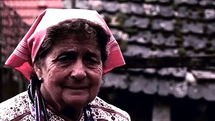 Mord im Heiligenwald | movie | 2014 | Official Trailer