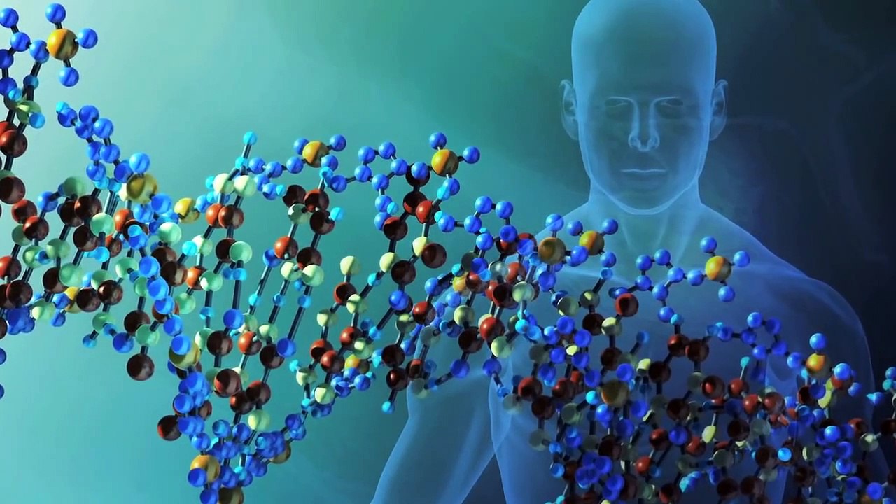 Das Kreative Universum | movie | 2010 | Official Trailer