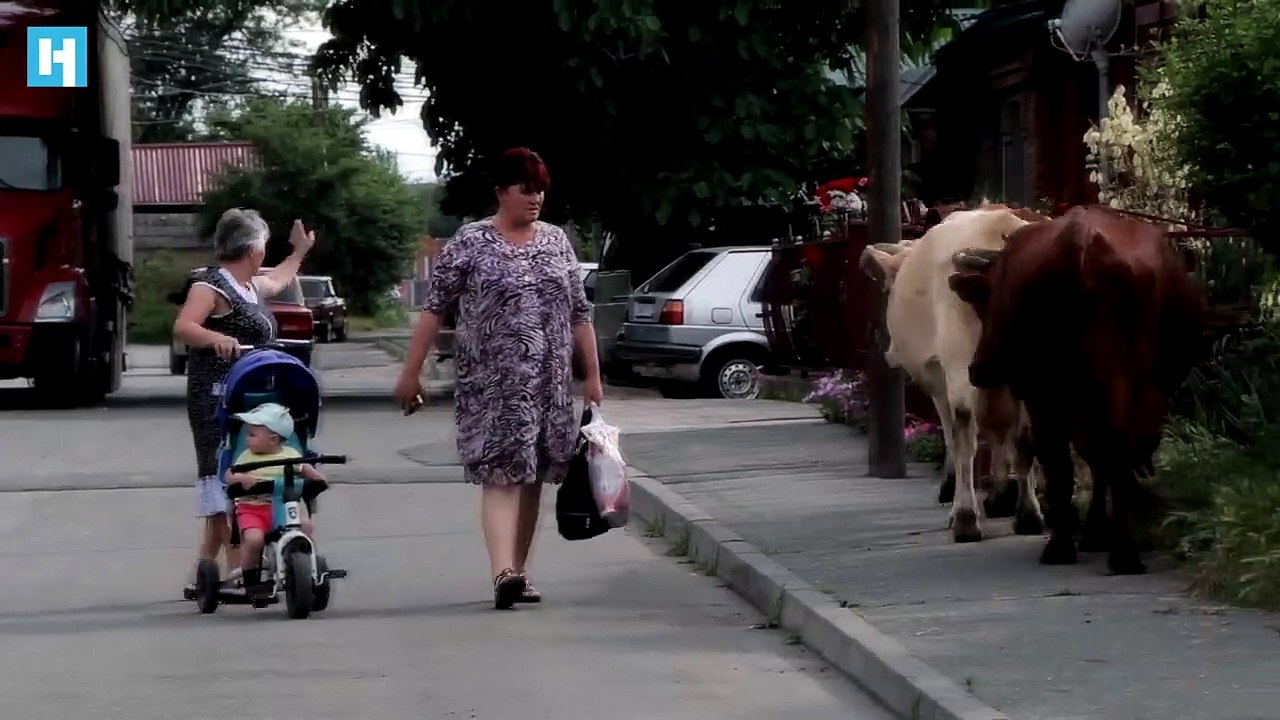 Школа номер один | movie | 2019 | Official Trailer