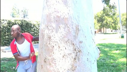 Surfing the Web | movie | 2019 | Official Trailer