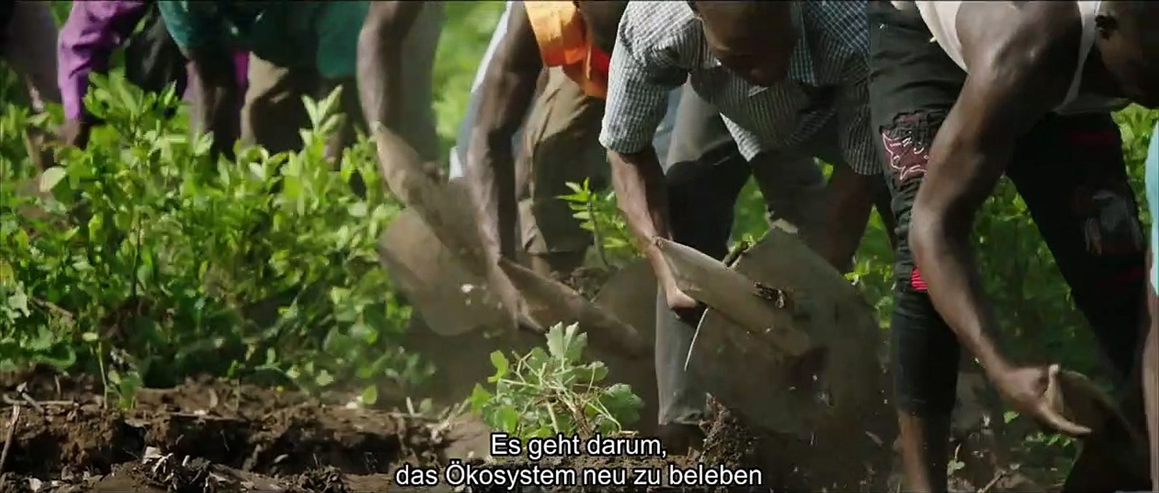 The Great Green Wall | movie | 2020 | Official Trailer