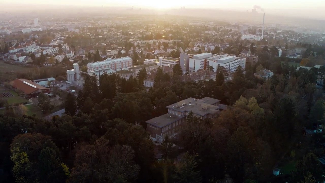 Im Schatten der Angst | movie | 2019 | Official Trailer