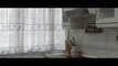 3 gramos de fe | movie | 2017 | Official Trailer