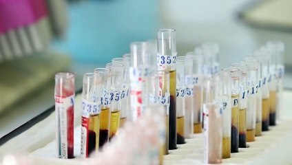 Voice For The Voiceless | movie | 2019 | Official Trailer