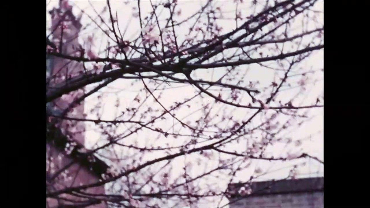 Sigmund Freud - Freud über Freud | movie | 2022 | Official Trailer