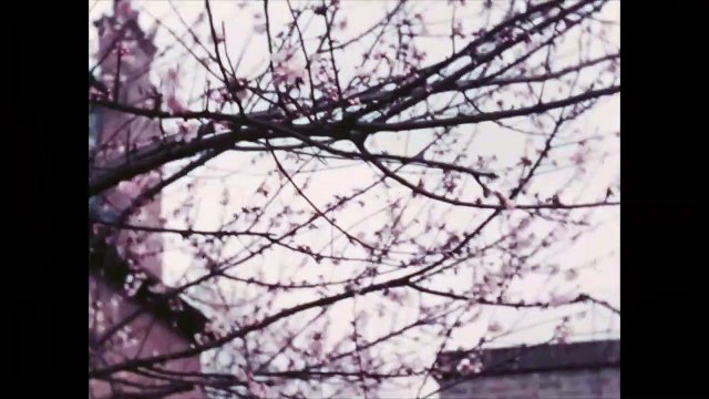 Sigmund Freud - Freud über Freud | movie | 2022 | Official Trailer