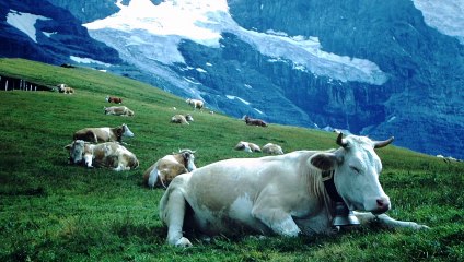 I Bought a Time Machine | movie | 2020 | Official Featurette