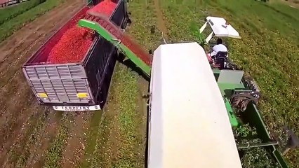 290 Venenos | movie | 2020 | Official Trailer