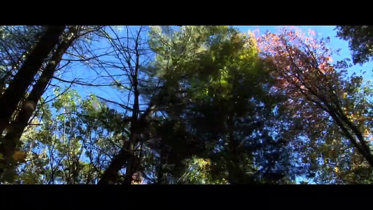 Out Of Our Minds | movie | 2009 | Official Trailer