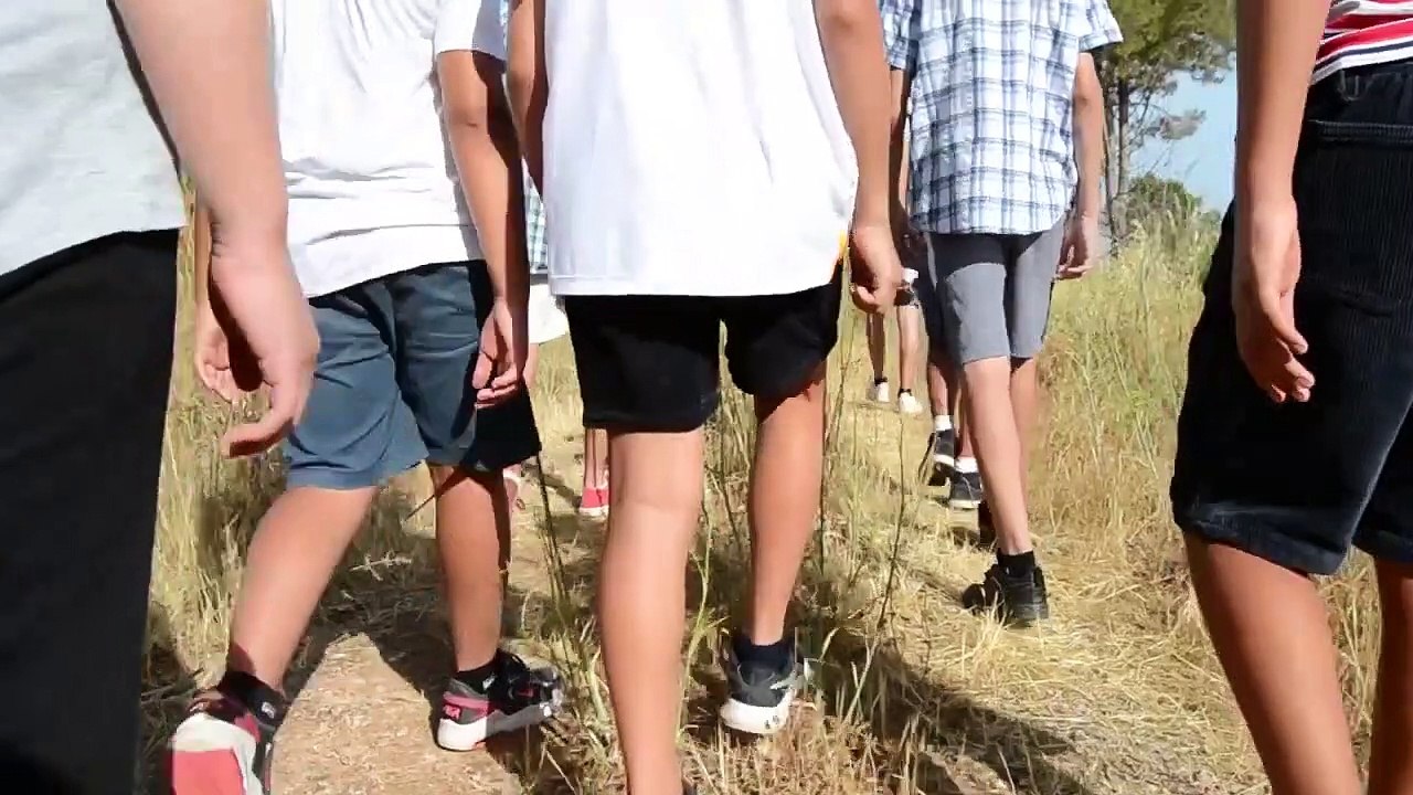 Profumo di Zagara | movie | 2023 | Official Trailer