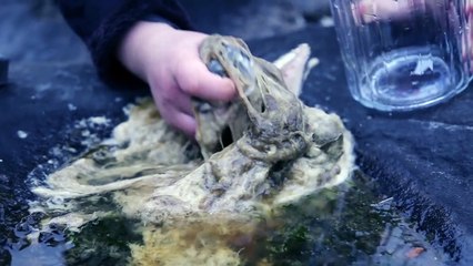 Hedorah Silent Spring | movie | 2019 | Official Trailer