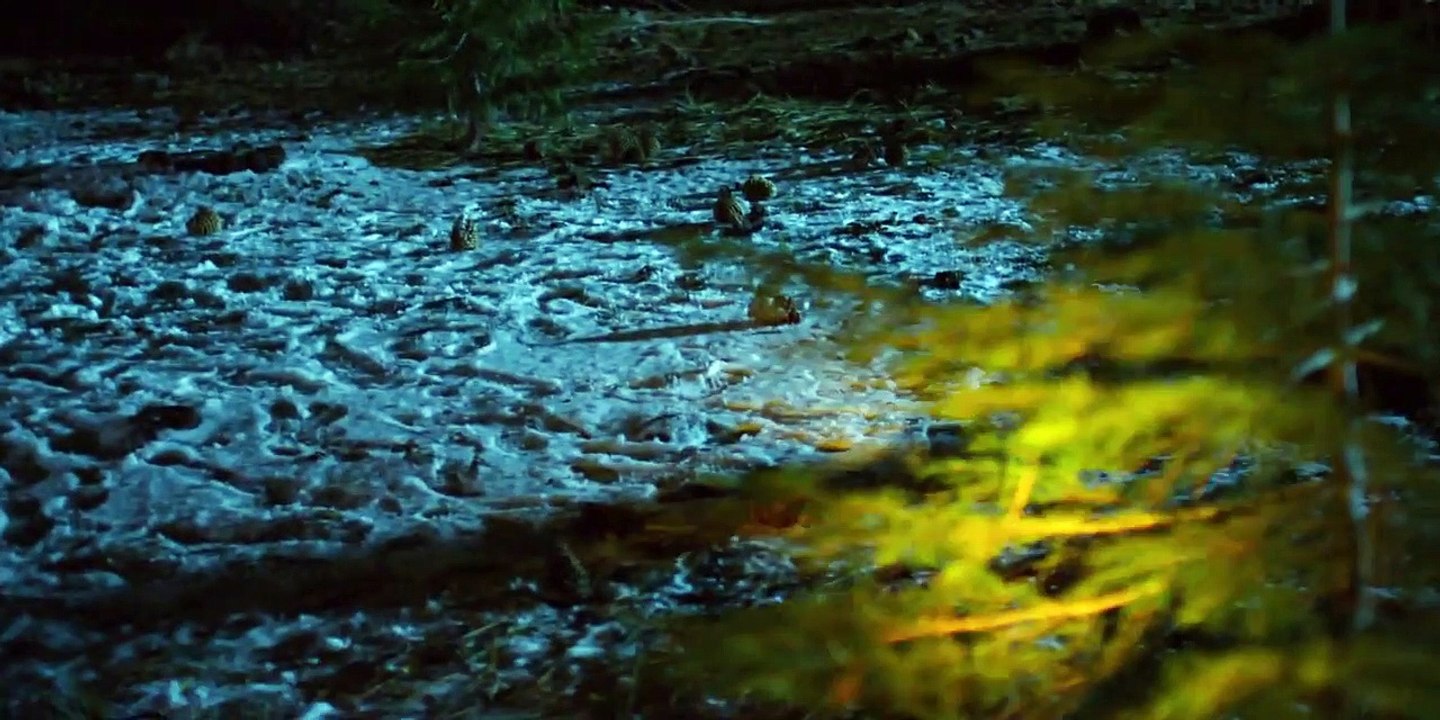 Red Snow | movie | 2021 | Official Trailer