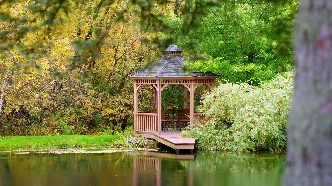 Home For Love | movie | 2021 | Official Trailer