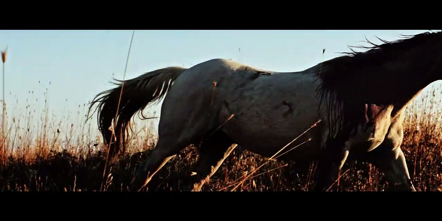 Ballads of the Revelation | movie | 2020 | Official Trailer