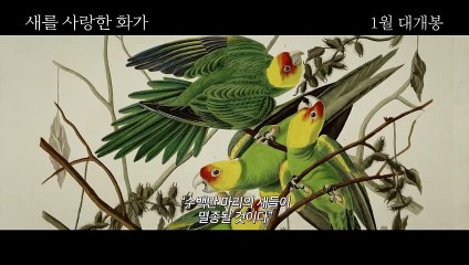 새를 사랑한 화가 | movie | 2022 | Official Trailer