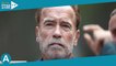 Arnold Schwarzenegger impliqué dans un accident avec une cycliste : que s'est-il passé ?