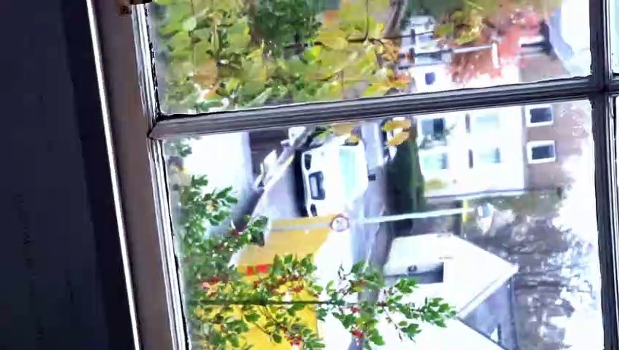 The Story of Looking | movie | 2021 | Official Trailer