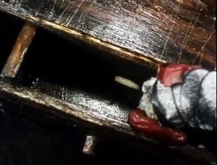 The Man in the Lower-Left Hand Corner of The Photograph | movie | 1997 | Official Clip