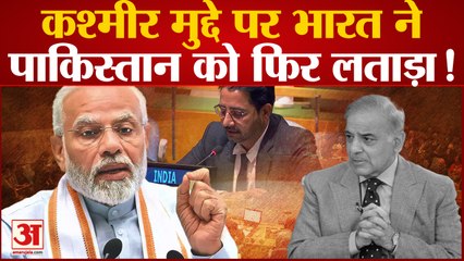 India Hits Hard At Pakistan On Kashmir: कश्मीर मुद्दे पर भारत ने पाकिस्तान को फिर लगाई लताड़